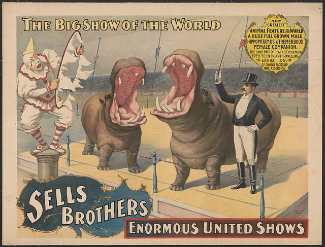 Willoughby: The circus is coming - Vimarsana News